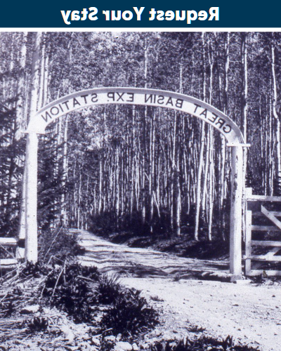 历史大盆地实验站拱顶路